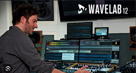 Steinberg Wavelab Elements 12